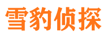 平桥市调查公司